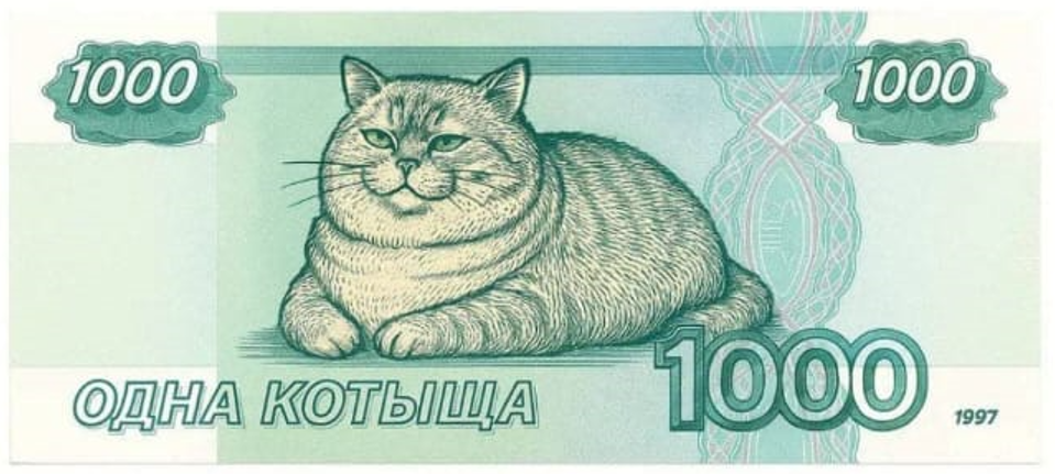 Одна кототыща